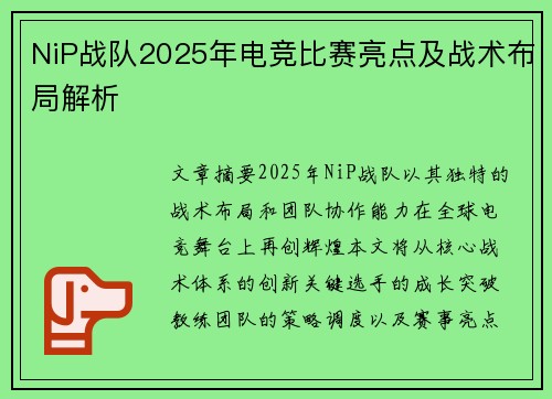 NiP战队2025年电竞比赛亮点及战术布局解析